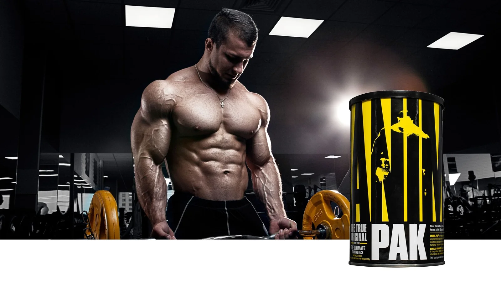 Build Your Dream Home Without Burning Out: How AnimalPak Fuels DIY Renovators